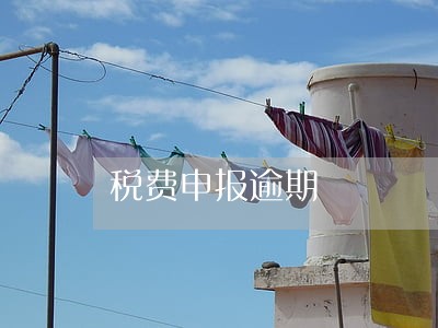 税费申报逾期