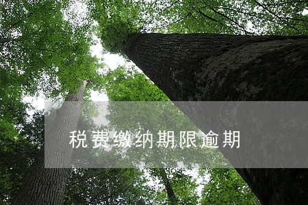 税费缴纳期限逾期