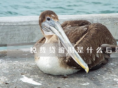 税费贷逾期是什么后果 税费贷逾期是什么后果