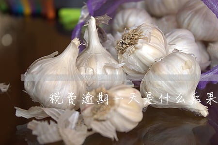 税费逾期一天是什么后果