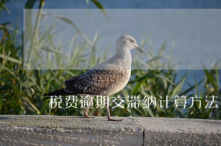 税费逾期交滞纳计算方法