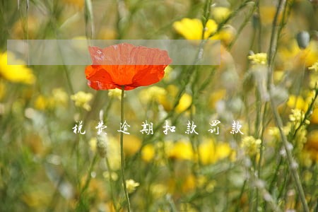 税费逾期扣款罚款 税费逾期扣款罚款
