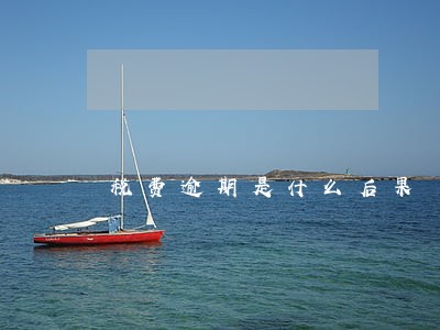 税费逾期是什么后果 税费逾期是什么后果