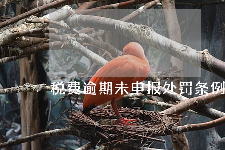 税费逾期未申报处罚条例 税费逾期未申报处罚条例