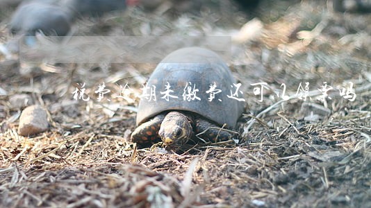 税费逾期未缴费还可以领票吗 税费逾期未缴费还可以领票吗