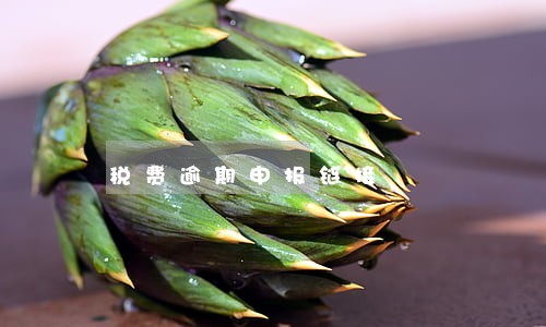 税费逾期申报链接 税费逾期申报链接