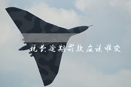 税费逾期罚款应该谁交 税费逾期罚款应该谁交