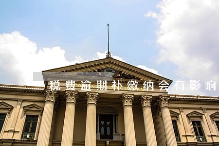税费逾期补缴纳会有影响么 税费逾期补缴纳会有影响么