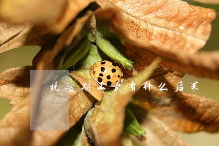 税逾期工资有什么后果 税逾期工资有什么后果