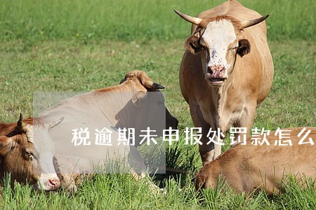 税逾期未申报处罚款怎么交