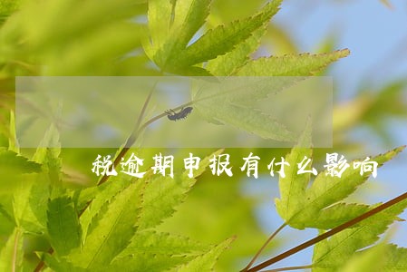 税逾期申报有什么影响 税逾期申报有什么影响