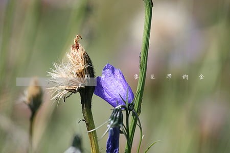 税逾期申报要交滞纳金 税逾期申报要交滞纳金