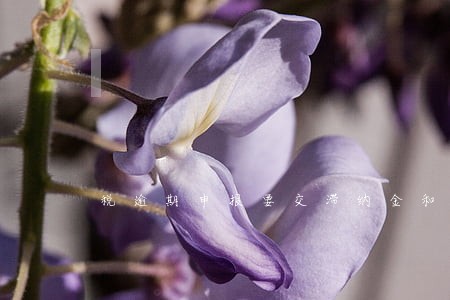 税逾期申报要交滞纳金和罚款吗