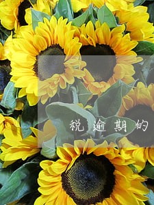 税逾期的滞纳金怎么算 税逾期的滞纳金怎么算