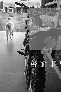 税逾期罚款 税逾期罚款