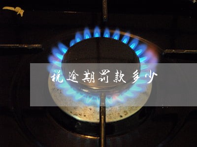 税逾期罚款多少 税逾期罚款多少