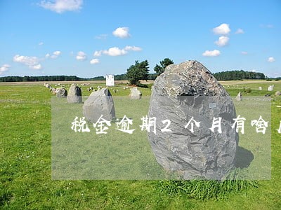 税金逾期2个月有啥后果 税金逾期2个月有啥后果