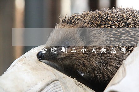 税金逾期三个月会怎样 税金逾期三个月会怎样