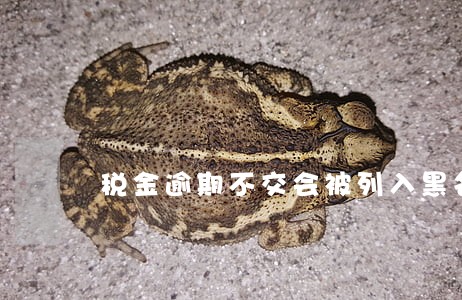 税金逾期不交会被列入黑名单吗 税金逾期不交会被列入黑名单吗
