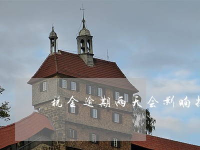 税金逾期两天会影响投标吗 税金逾期两天会影响投标吗