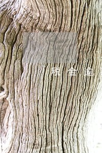 税金逾期处罚规定 税金逾期处罚规定