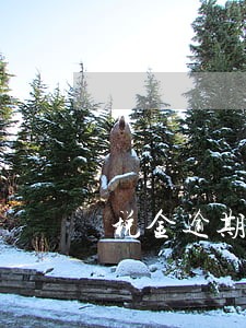 税金逾期最长时间多久 税金逾期最长时间多久