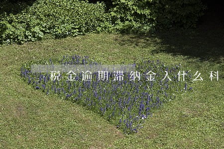 税金逾期滞纳金入什么科目 税金逾期滞纳金入什么科目