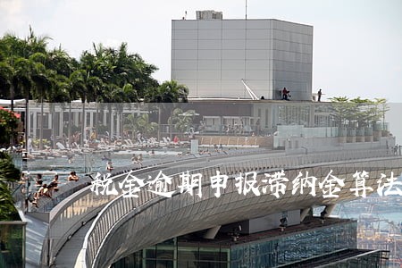 税金逾期申报滞纳金算法 税金逾期申报滞纳金算法