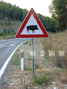 税金逾期的滞纳金怎么做分录 税金逾期的滞纳金怎么做分录