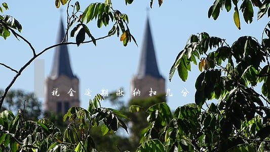 税金逾期缴纳扣几分 税金逾期缴纳扣几分