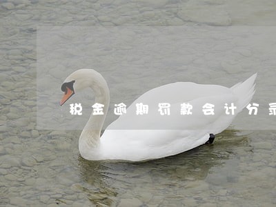 税金逾期罚款会计分录 税金逾期罚款会计分录
