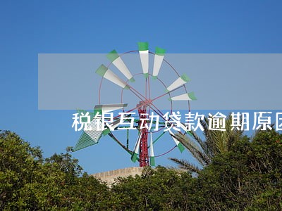税银互动贷款逾期原因 税银互动贷款逾期原因