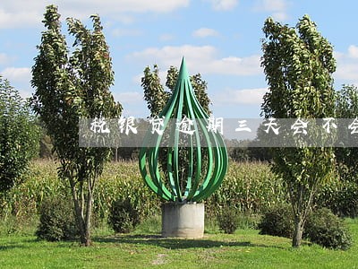 税银贷逾期三天会不会影响 税银贷逾期三天会不会影响