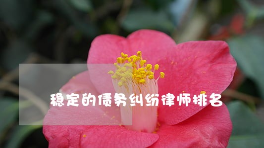 稳定的债务纠纷律师排名 稳定的债务纠纷律师排名