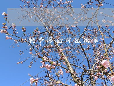 稳步深化司法改革 稳步深化司法改革