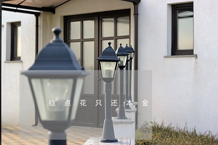 稳点花只还本金