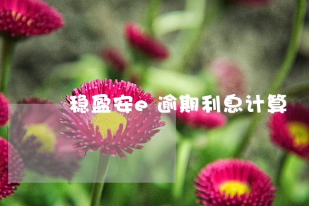 稳盈安e逾期利息计算 稳盈安e逾期利息计算