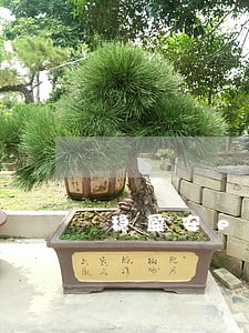 稳盈安e逾期如何计算 稳盈安e逾期如何计算