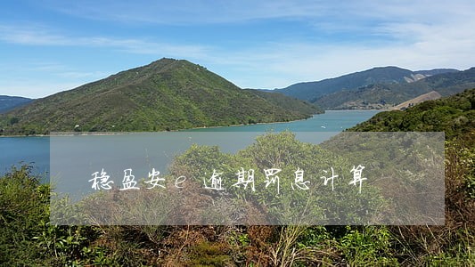 稳盈安e逾期罚息计算 稳盈安e逾期罚息计算