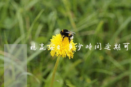 稳赢安e多少时间逾期可以 稳赢安e多少时间逾期可以