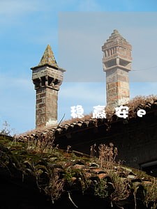 稳赢安e逾期不罚息 稳赢安e逾期不罚息