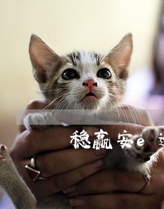 稳赢安e逾期转让罚息归谁 稳赢安e逾期转让罚息归谁