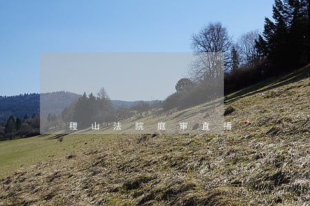 稷山法院庭审直播 稷山法院庭审直播