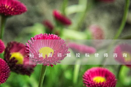 稻城县招标投标律师咨询电话 稻城县招标投标律师咨询电话