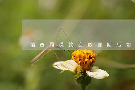 稽查局税款追缴逾期后如何处理 稽查局税款追缴逾期后如何处理