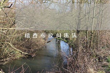 稽查布控纠违法 稽查布控纠违法
