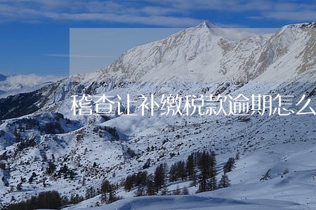 稽查让补缴税款逾期怎么办 稽查让补缴税款逾期怎么办