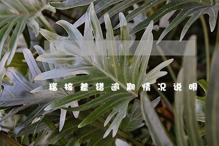 稽核差错逾期情况说明