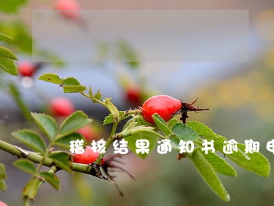 稽核结果通知书逾期申报 稽核结果通知书逾期申报