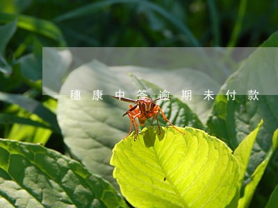 穗康中签逾期未付款 穗康中签逾期未付款